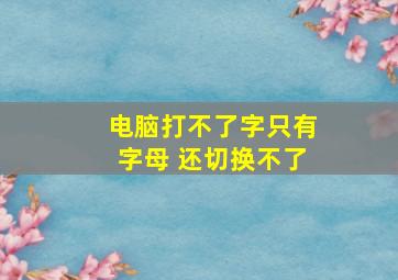 电脑打不了字只有字母 还切换不了